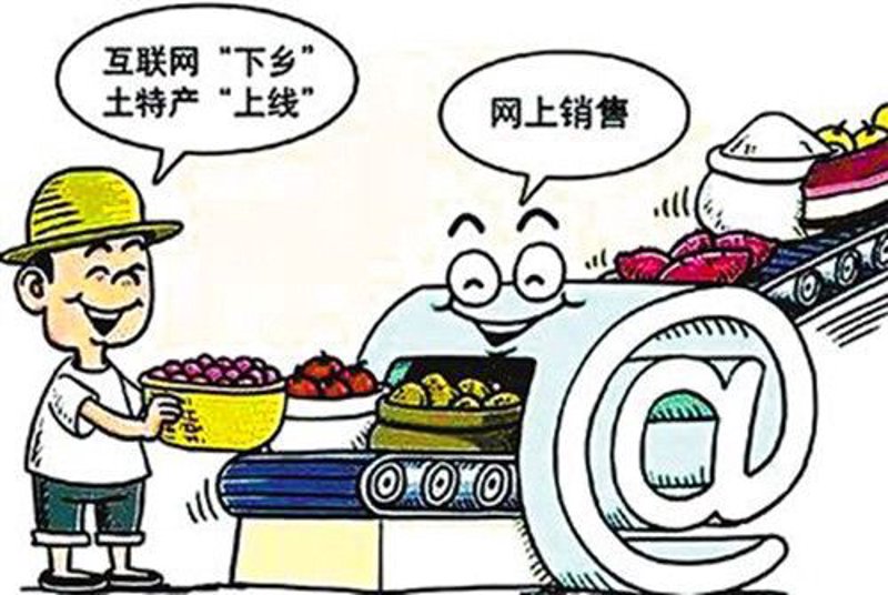 B2C商城的发展与运营案例分析